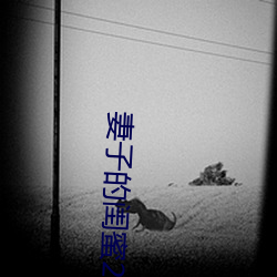 AG真人平台(中国)官方网站