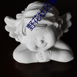 野花(花)社区(區)视频(頻)