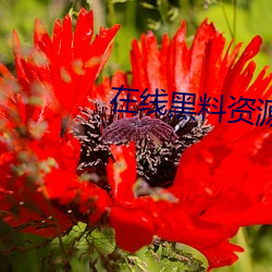 尊龙凯时人生就是搏(中国区)官方网站