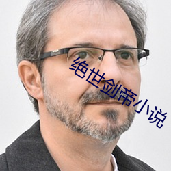 绝世剑帝小说