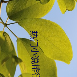 热(熱)门小说排行