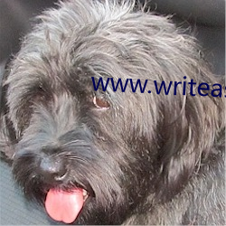 www.writeas 安装