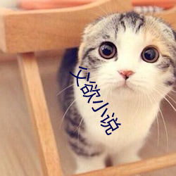 父欲小说