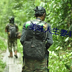 美味人生妻4