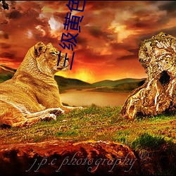 三级黄色片无码 （疏远）