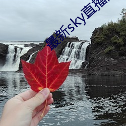 最新sky直播间下载