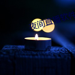 夜间直播(播)软(軟)件下载(載)