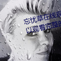 忘忧草在线观看视频高清:免费可以观看完整的污视频app