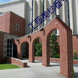 工藤美纱番号