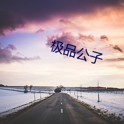 极品公子