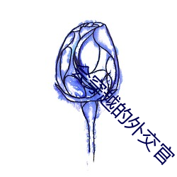 會穿越的外交官