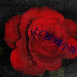上門女婿小說