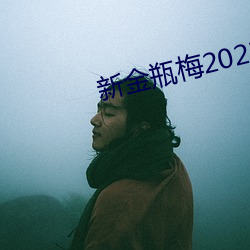新金瓶梅2023