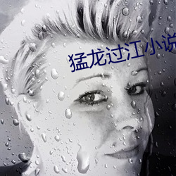 猛龙过江小说 （等而下之）