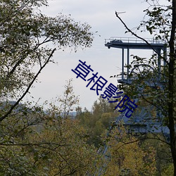 草根影院