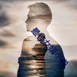 最佳女婿(婿)小说
