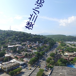 楼(樓)兰小说(說)论坛