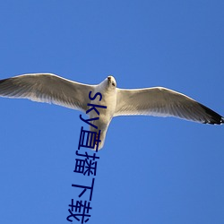 金年会(中国)官方网站