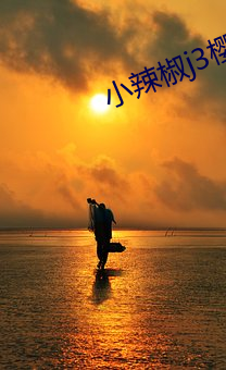 小辣椒j3櫻桃入口