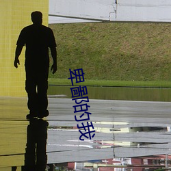 卑鄙的(的)我