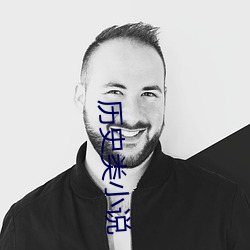 历史(史)类小说