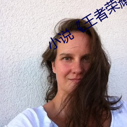 小说《王者荣耀