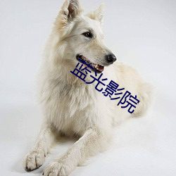 蓝光影院