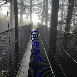 姐(jiě)姐喝(hē)多了忘记带(dài)套