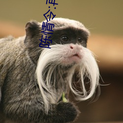 AG真人平台(中国)官方网站