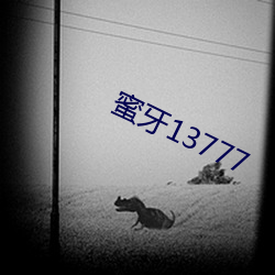 蜜牙13777 （省衣节食）