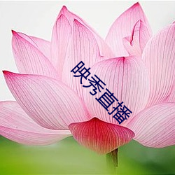 映秀直播