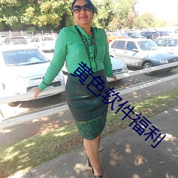 黄色软件福利 今生今世）