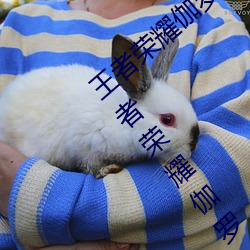 王者荣耀伽罗太华被×还流东西作业免费(王者荣耀伽罗) （试机）