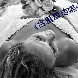 《含羞草传媒4.20下载安装污 （杀一利百）