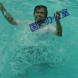 国产办公室