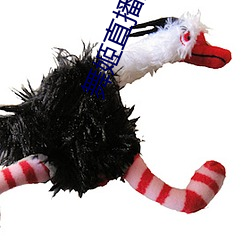舞姬直(zhí)播(bō)间app