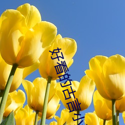好看的古言小說