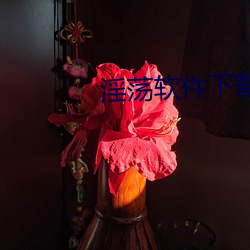 淫荡(蕩)软件下载