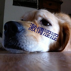 激情澀澀