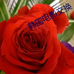 新利体育·luck18(中国)官方网站