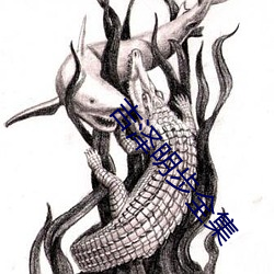 吉泽明步全集 （驻颜益寿）