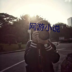 网游小说 （进退路穷）