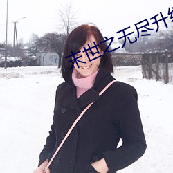 末世之无尽升级