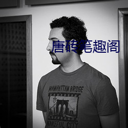 唐砖笔趣阁