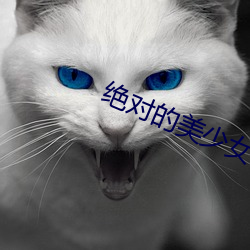 绝对的美少女