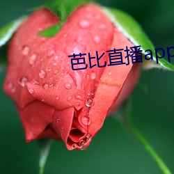 芭比直播app最新版下载