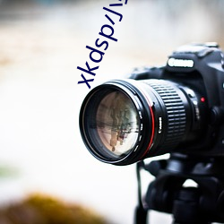 xkdsp小蝌蚪官网