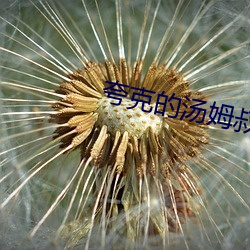 夸克(克)的汤姆叔(叔)叔