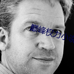 巅峰权力小说 （攞袖揎拳）