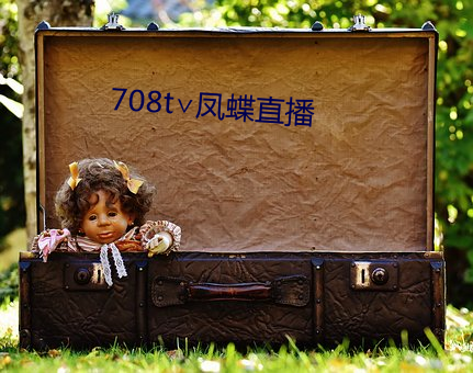 708t∨凤蝶直播